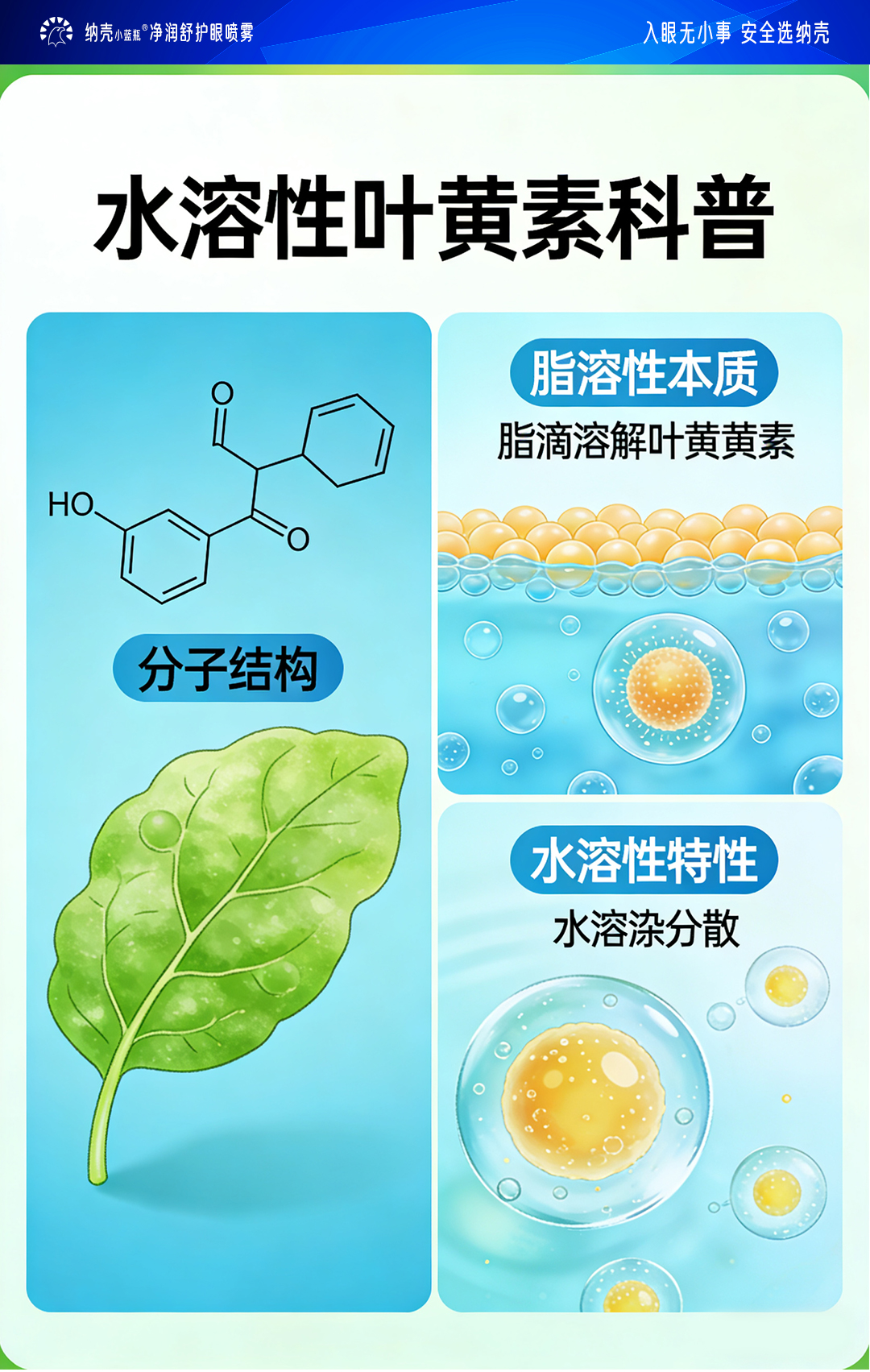 真实用户使用案例反馈