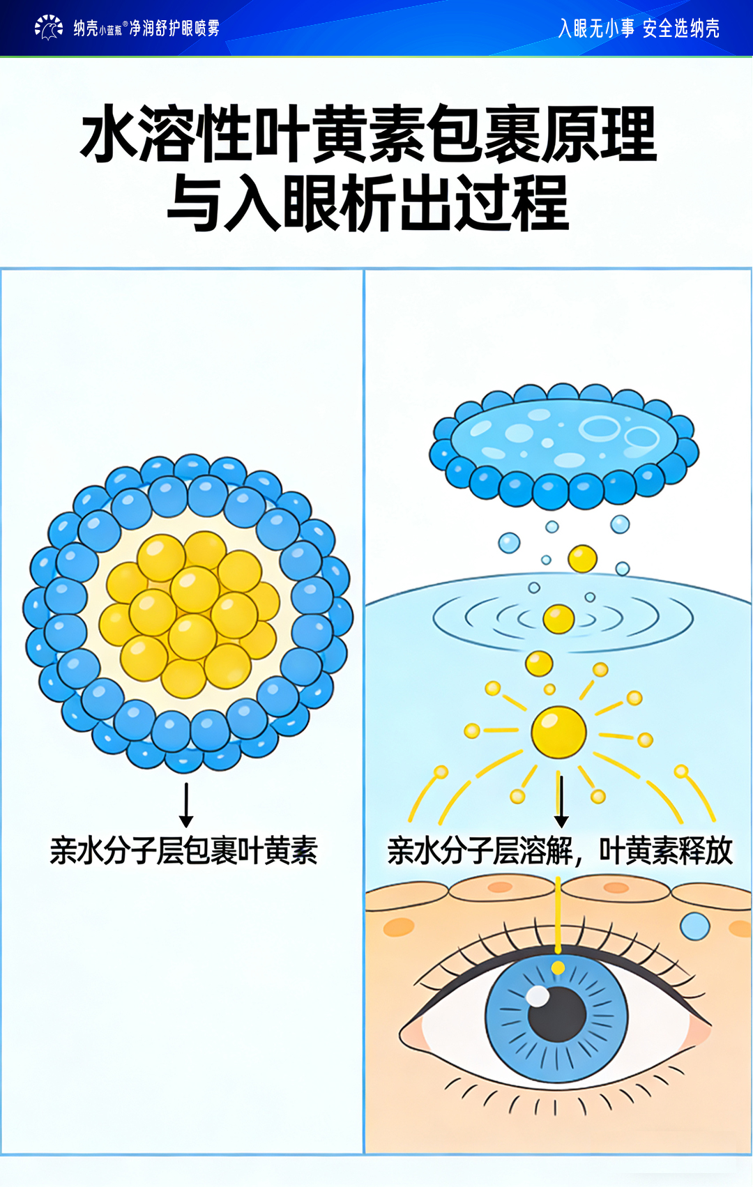 真实用户使用案例反馈