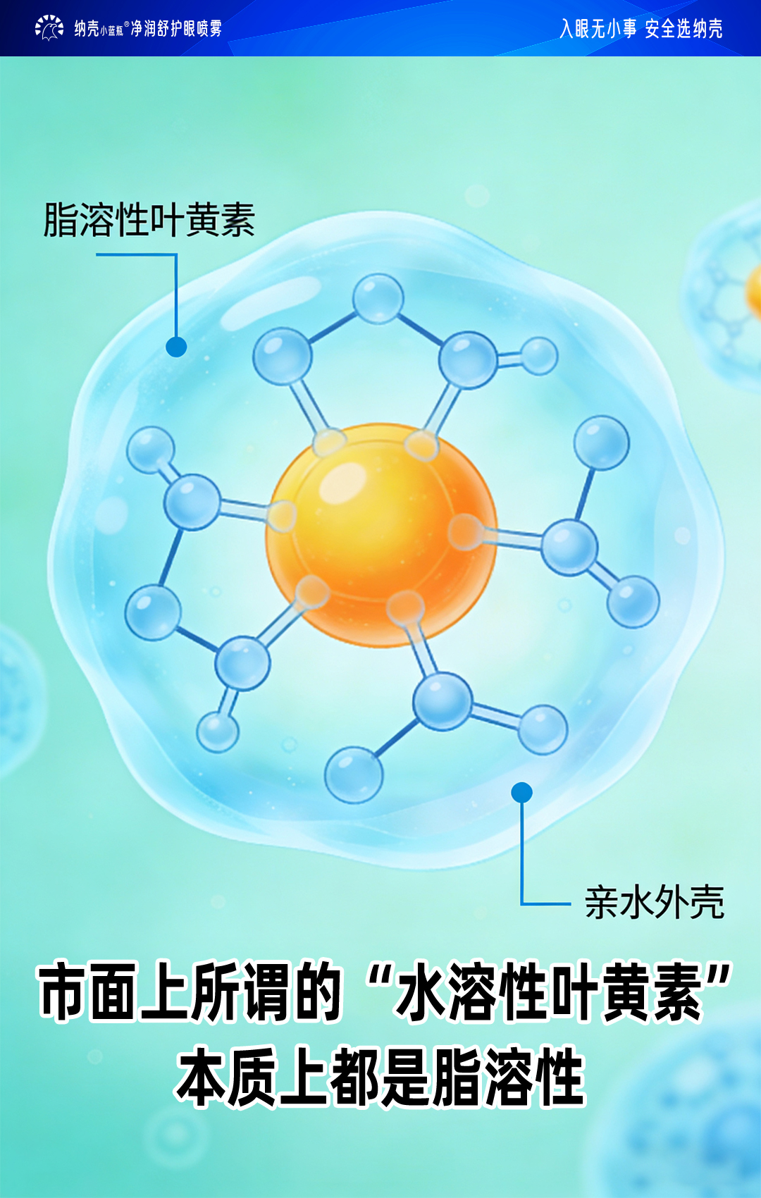 真实用户使用案例反馈